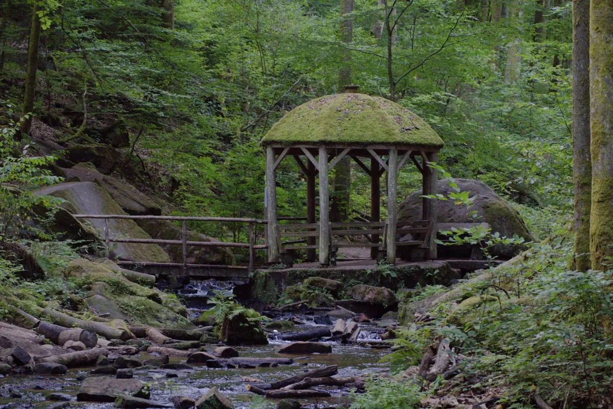 Verborgener Pavillon im Dunkel des Waldes Poster