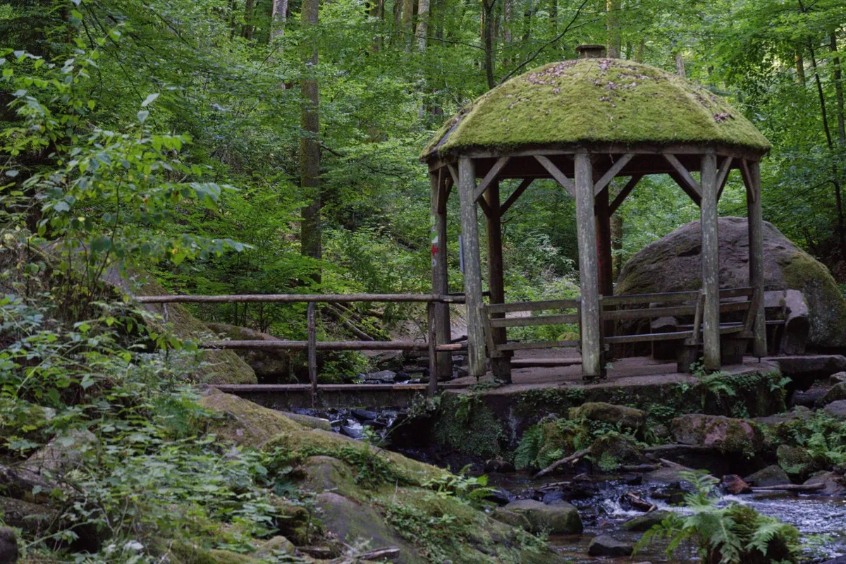 Moos, Holz und Wasser — Stille in der Schlucht Poster