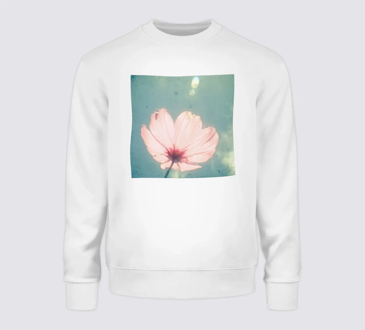 IT_title felpa da Cassia Beck Photography