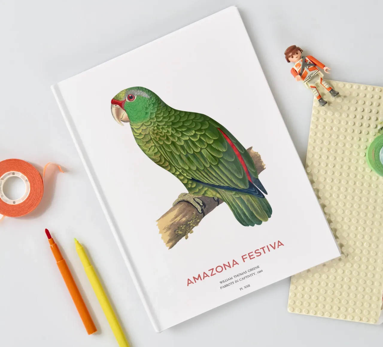 Festive parrot or Amazona festiva notebook by Vintagrafica