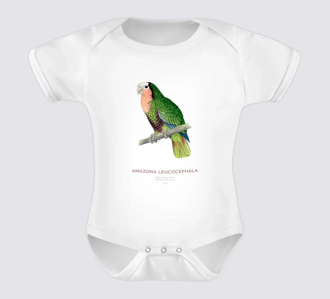 The Cuban parrot and the rose-throated parrot, is a medium-s short-sleeve baby romper by Vintagrafica