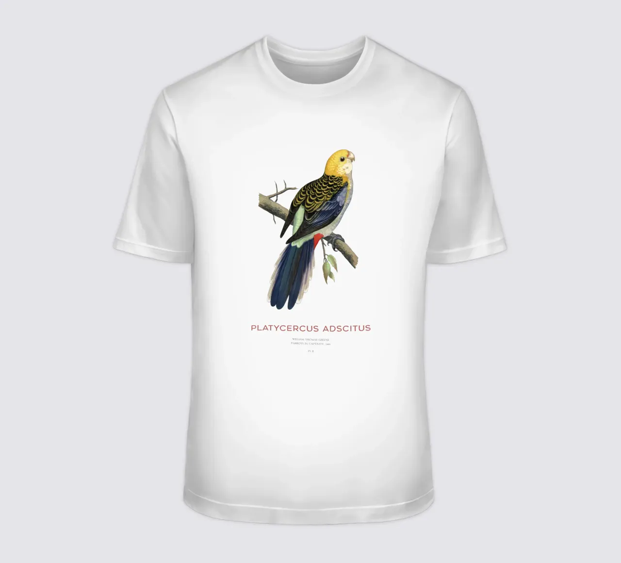Blassköpfige Rosella oder Platycercus adscitus T-Shirt von Vintagrafica