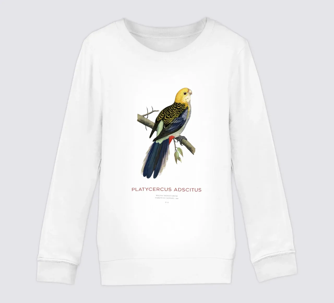 Rosella testa pallida o Platycercus adscitus felpa bambino da Vintagrafica