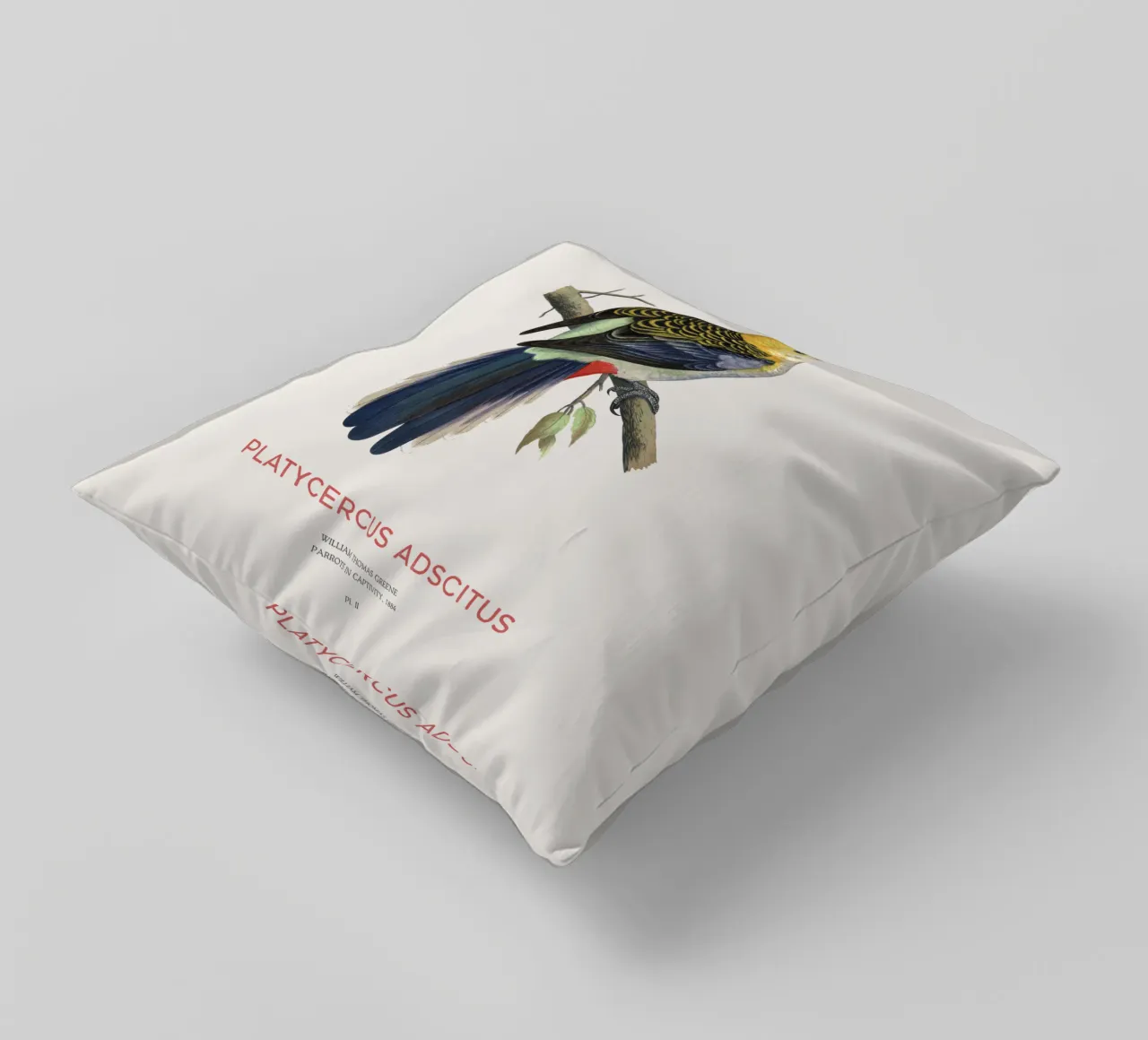 Rosella testa pallida o Platycercus adscitus cuscino da Vintagrafica