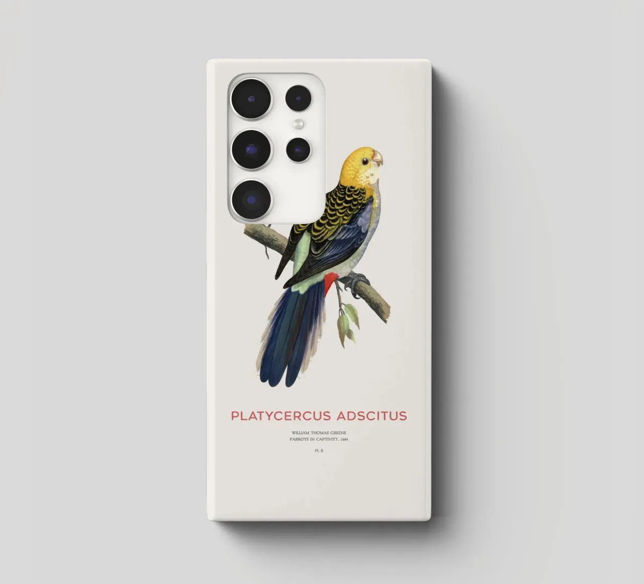 Blassköpfige Rosella oder Platycercus adscitus Samsung Hülle von Vintagrafica