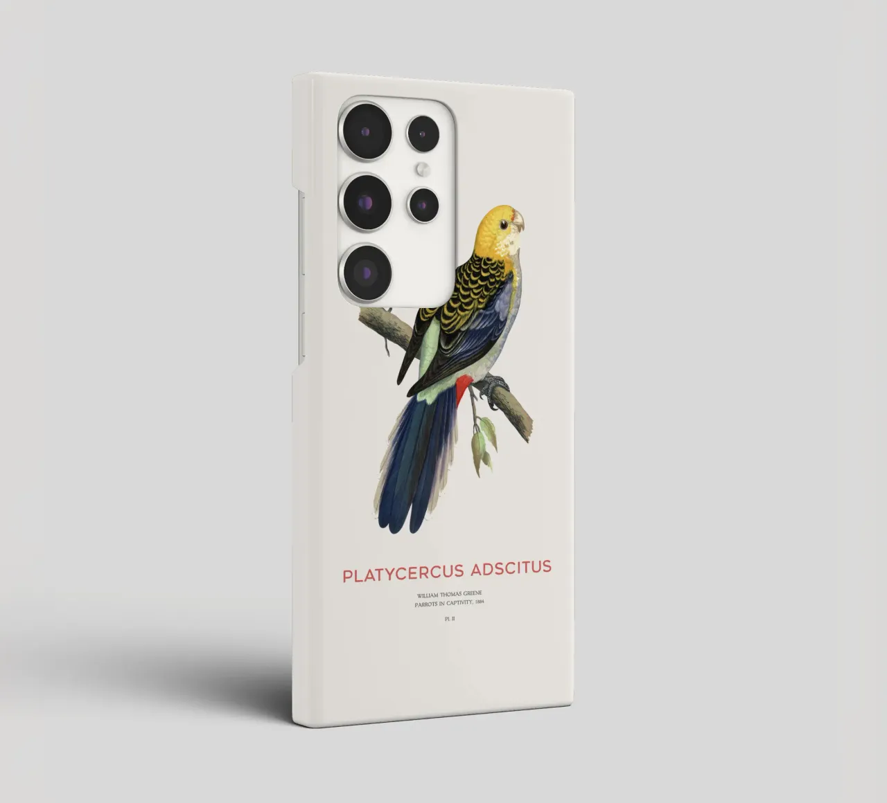 Blassköpfige Rosella oder Platycercus adscitus Samsung Hülle von Vintagrafica