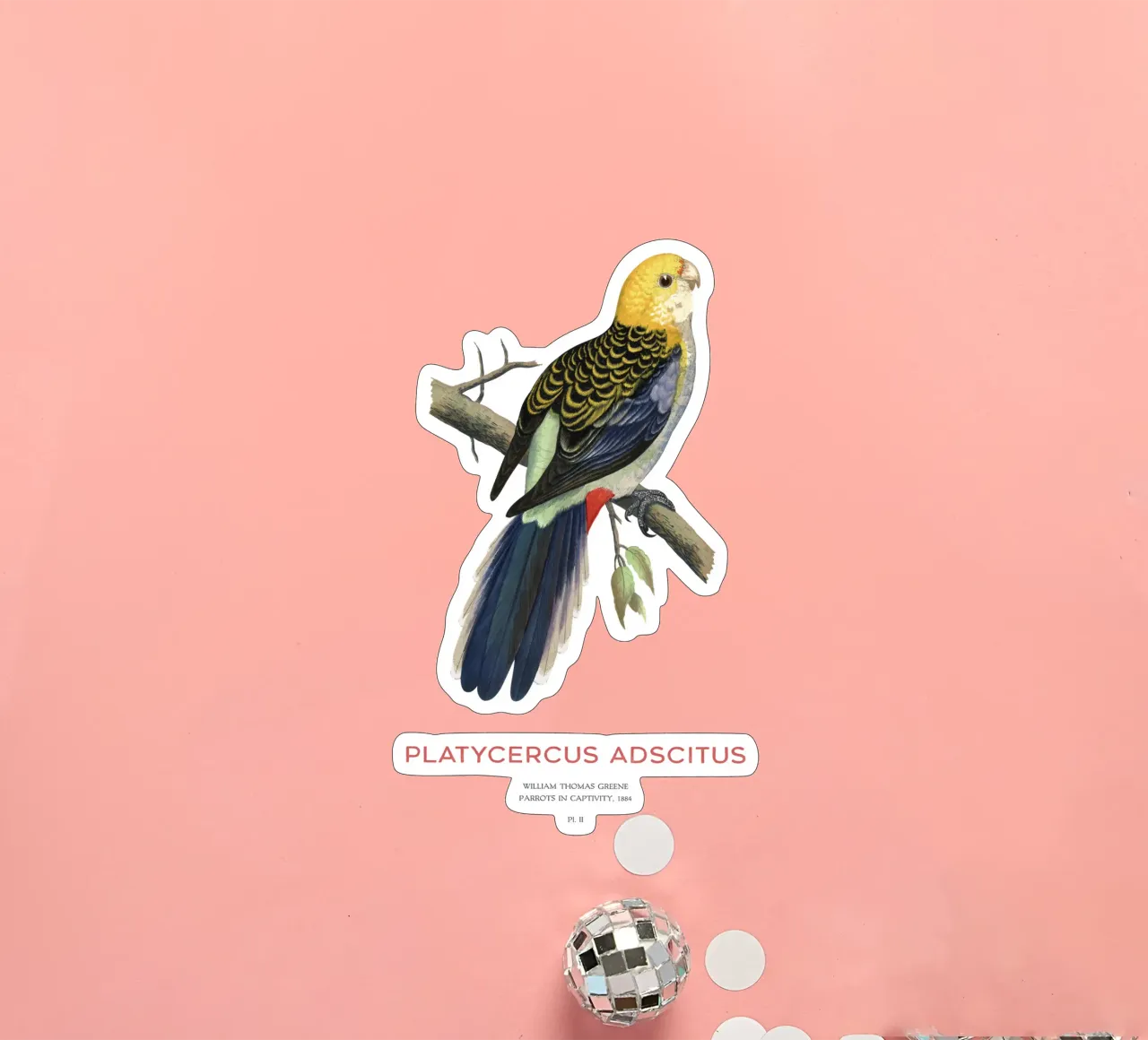 Blassköpfige Rosella oder Platycercus adscitus Sticker von Vintagrafica
