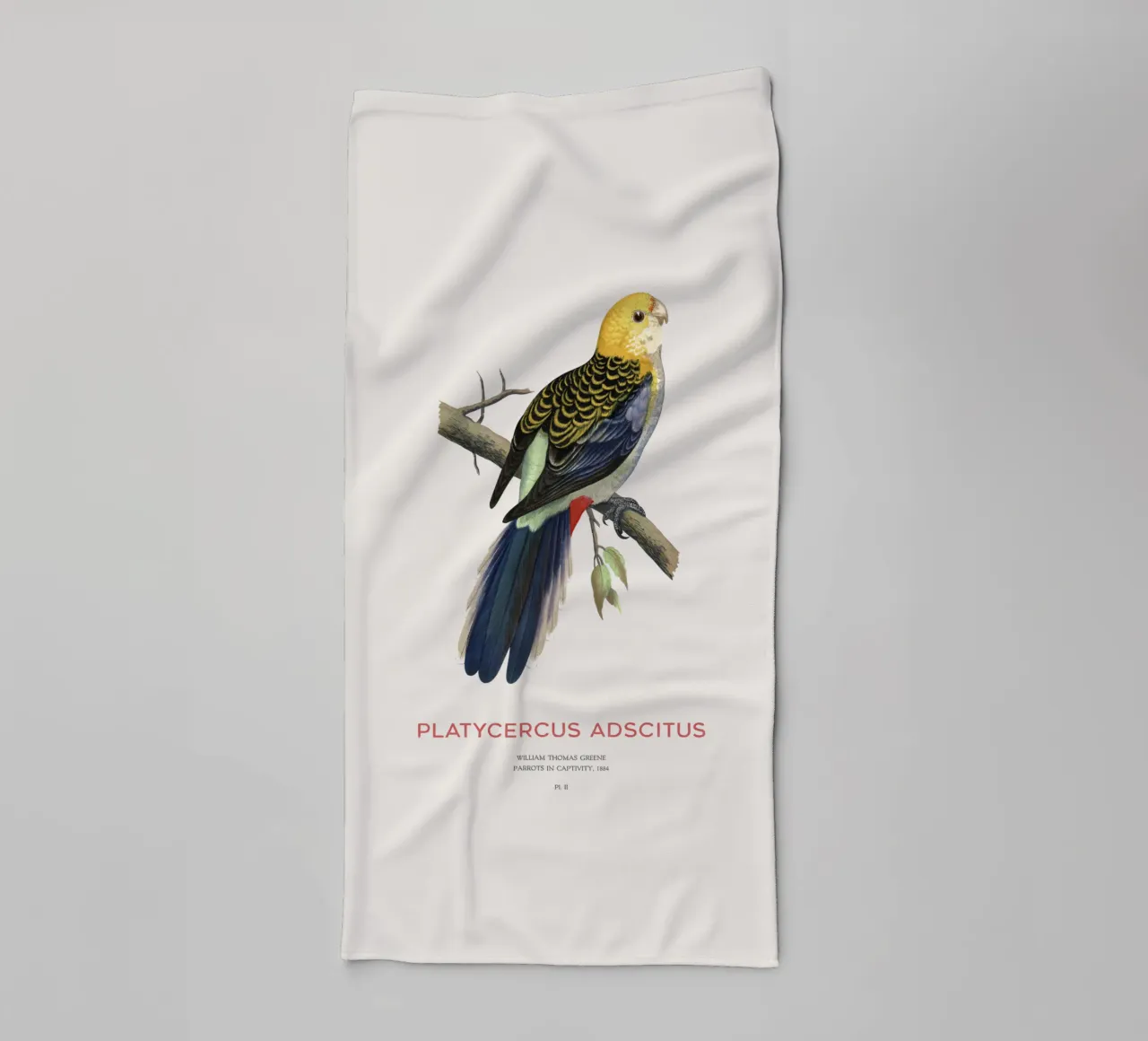 Blassköpfige Rosella oder Platycercus adscitus Handtuch von Vintagrafica