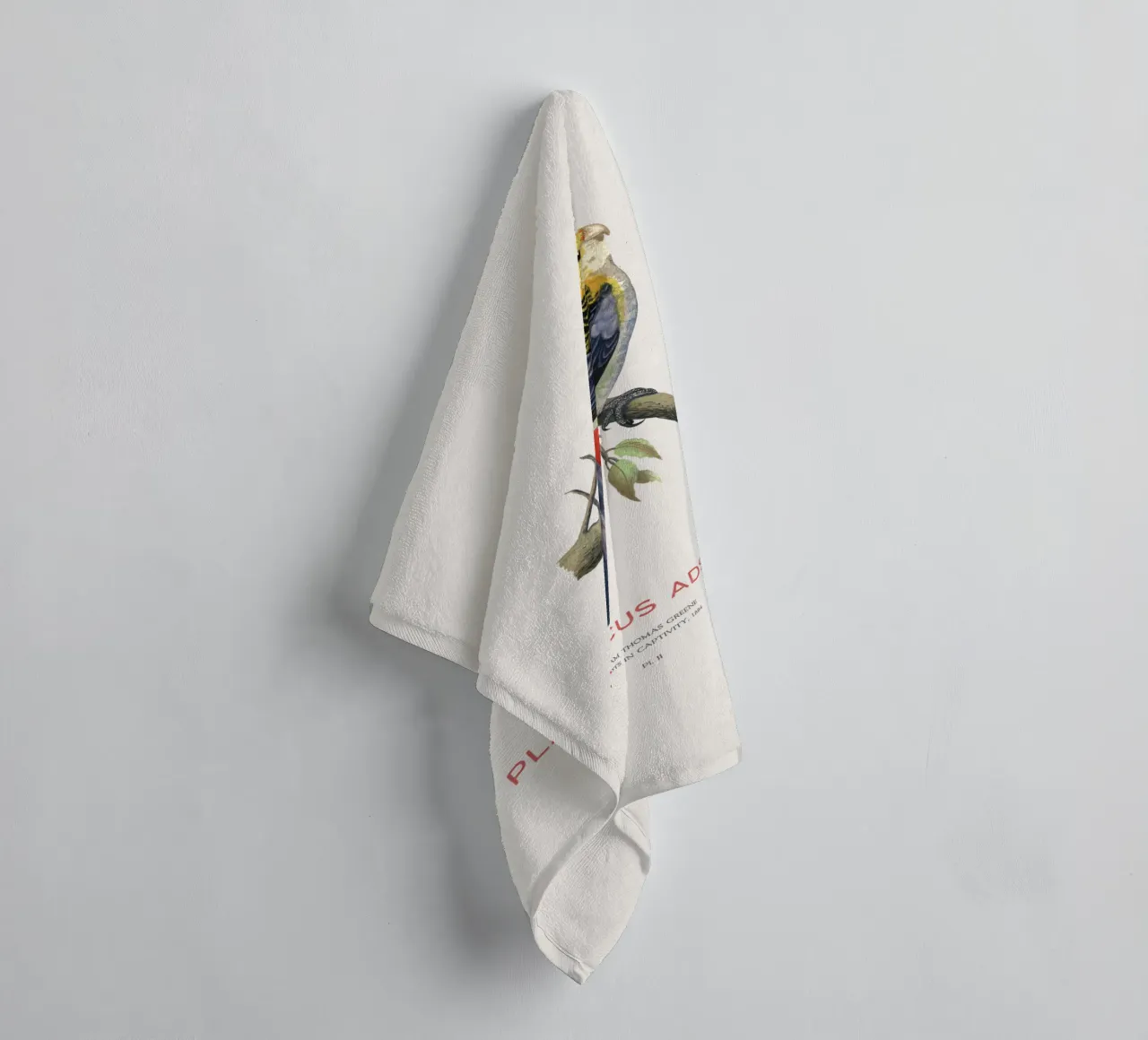 Blassköpfige Rosella oder Platycercus adscitus Handtuch von Vintagrafica