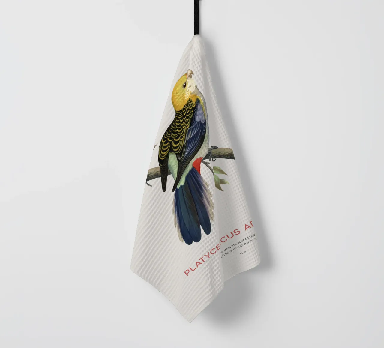 Blassköpfige Rosella oder Platycercus adscitus Geschirrtuch von Vintagrafica