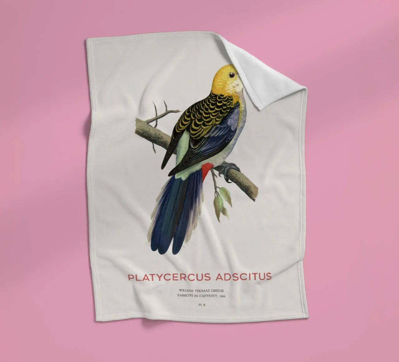 Blassköpfige Rosella oder Platycercus adscitus Fleecedecke von Vintagrafica