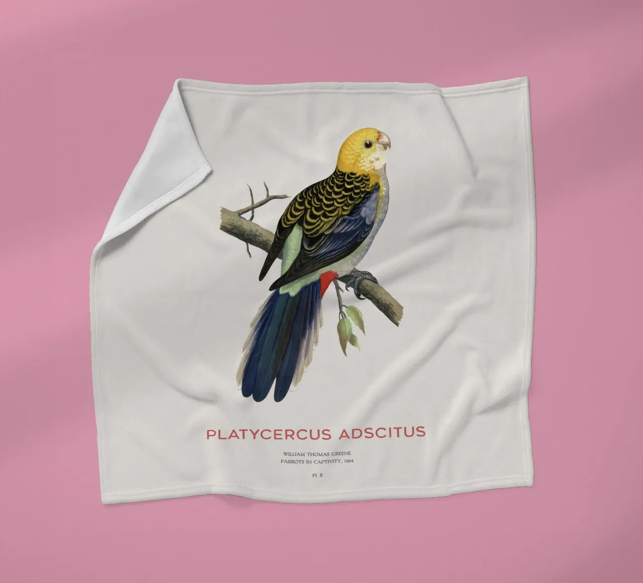 Blassköpfige Rosella oder Platycercus adscitus Fleecedecke von Vintagrafica