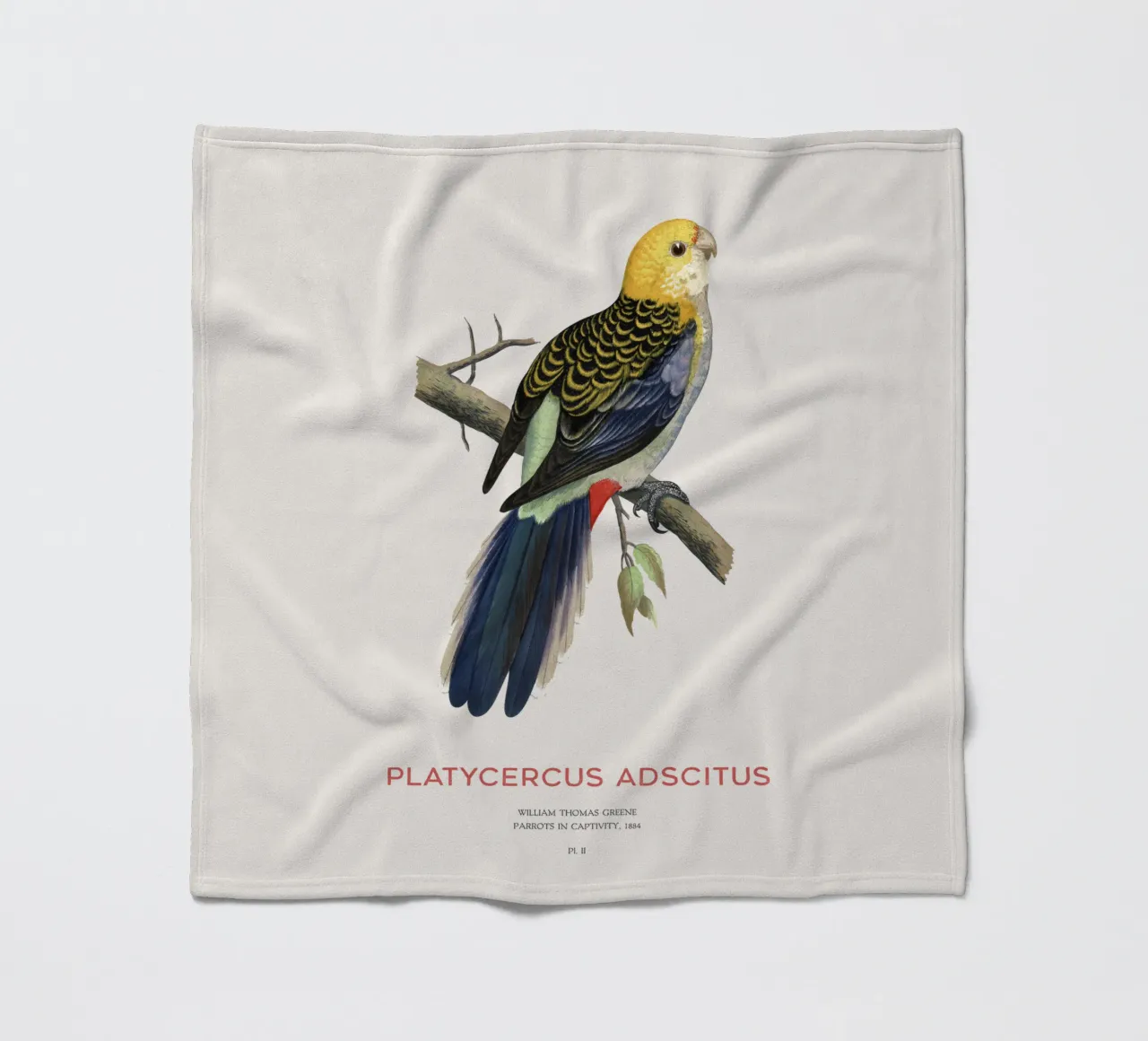 Blassköpfige Rosella oder Platycercus adscitus Fleecedecke von Vintagrafica