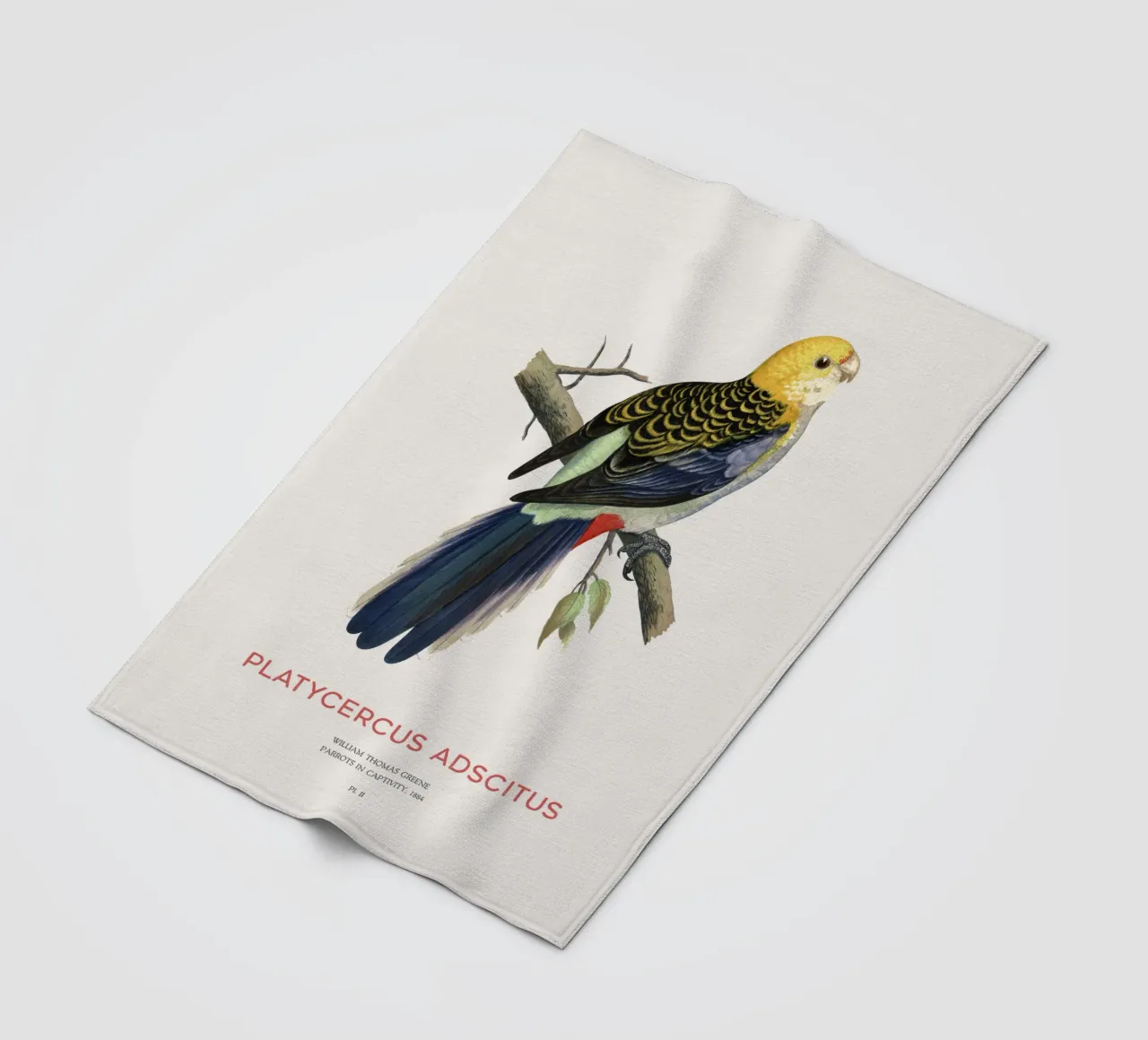 Blassköpfige Rosella oder Platycercus adscitus Fleecedecke von Vintagrafica