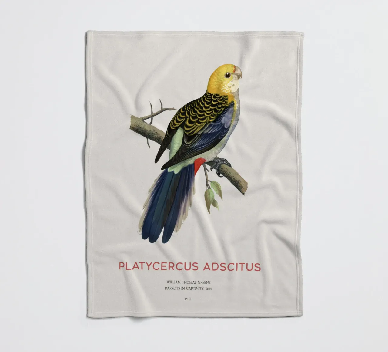 Blassköpfige Rosella oder Platycercus adscitus Fleecedecke von Vintagrafica