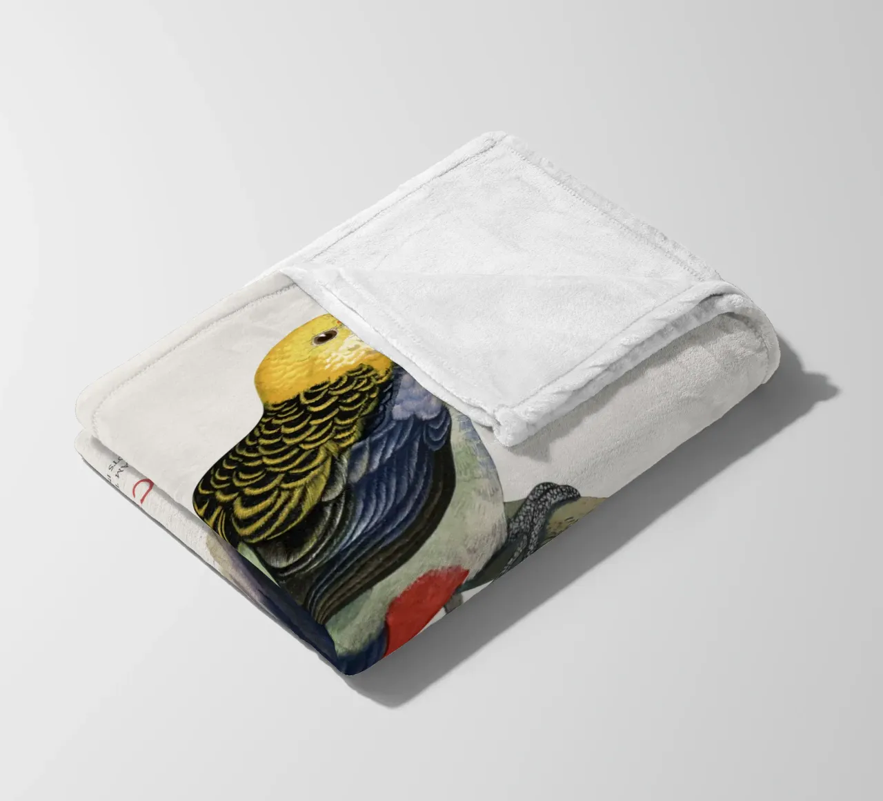 Blassköpfige Rosella oder Platycercus adscitus Fleecedecke von Vintagrafica