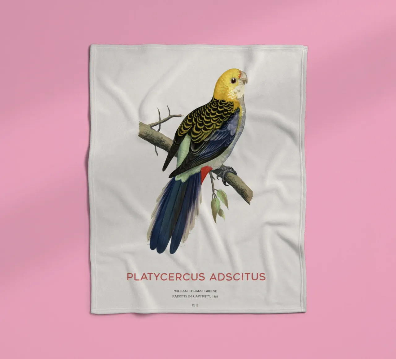 Blassköpfige Rosella oder Platycercus adscitus Fleecedecke von Vintagrafica