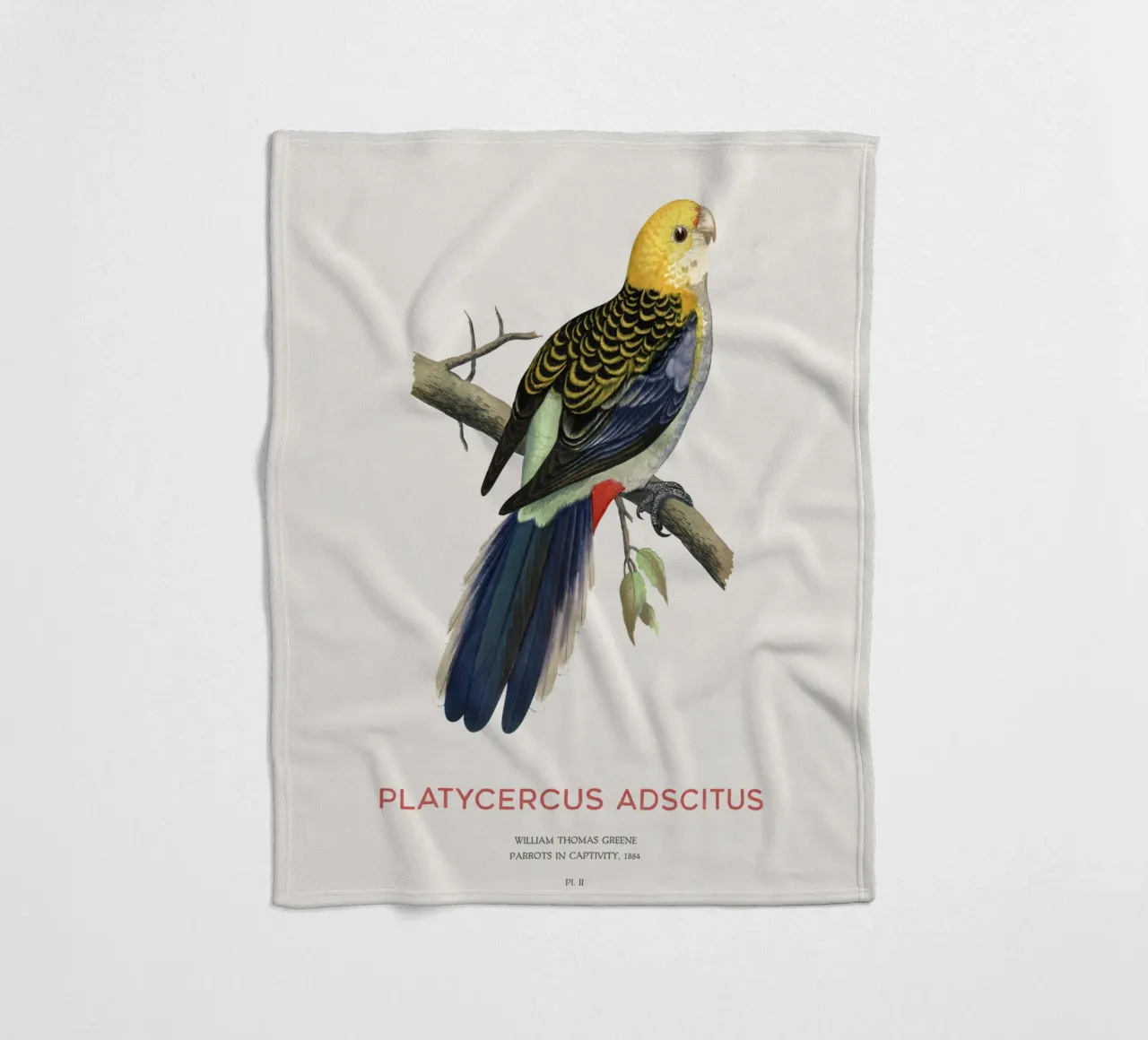 Blassköpfige Rosella oder Platycercus adscitus Fleecedecke von Vintagrafica