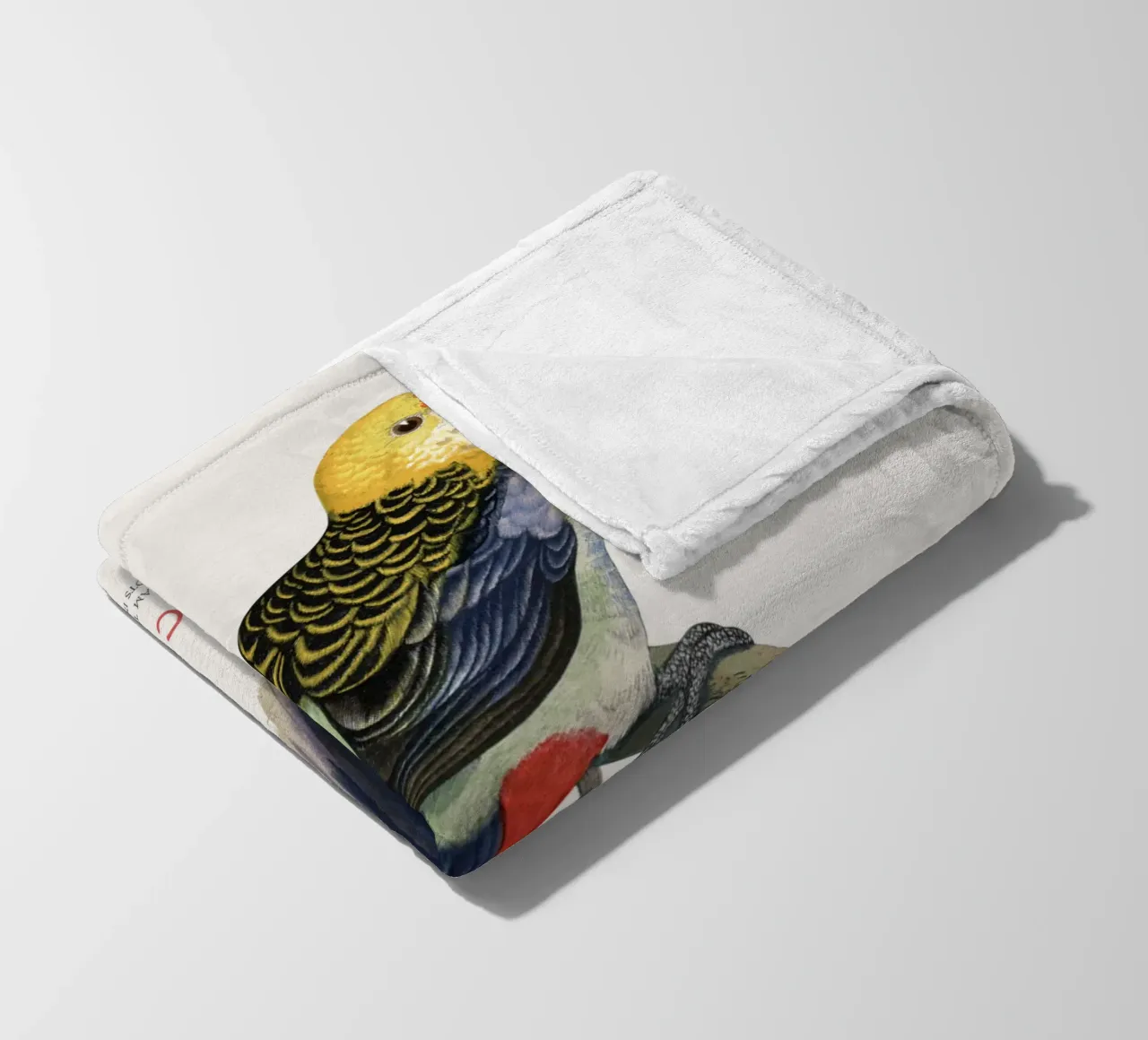 Blassköpfige Rosella oder Platycercus adscitus Fleecedecke von Vintagrafica