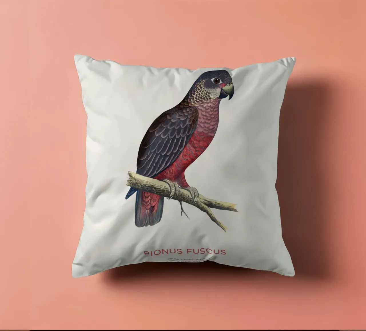 Pappagallo crepuscolare o Pionus fuscus cuscino da Vintagrafica
