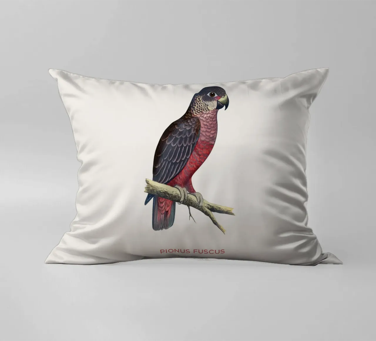 Pappagallo crepuscolare o Pionus fuscus cuscino da Vintagrafica