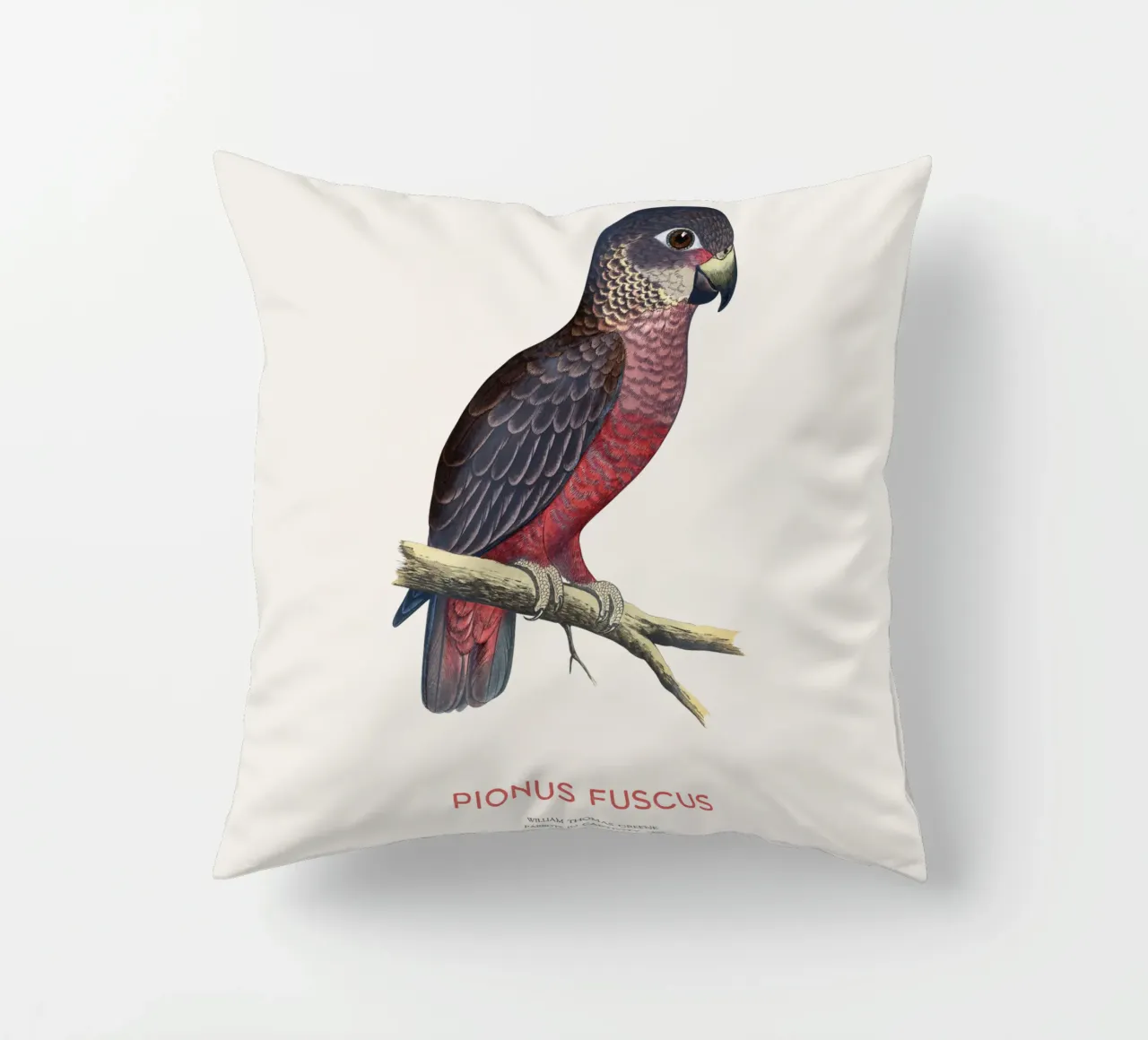 Pappagallo crepuscolare o Pionus fuscus cuscino da Vintagrafica