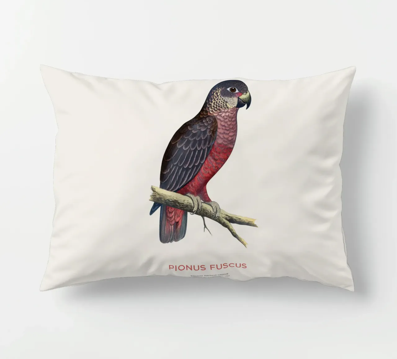 Pappagallo crepuscolare o Pionus fuscus cuscino da Vintagrafica