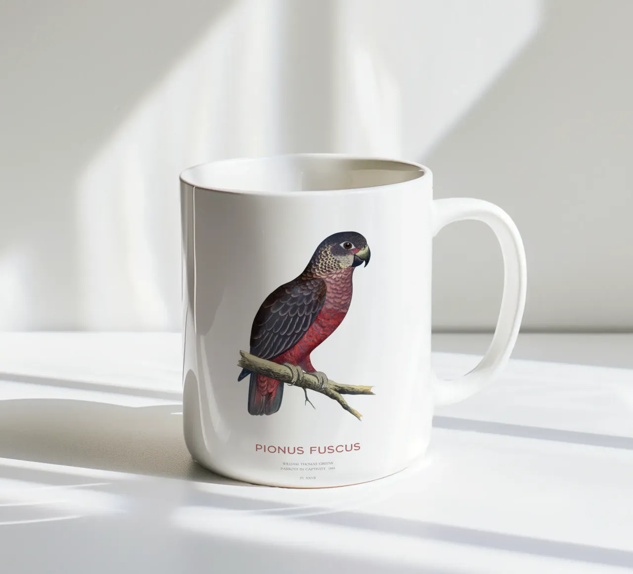 Pappagallo crepuscolare o Pionus fuscus tazza in ceramica da Vintagrafica