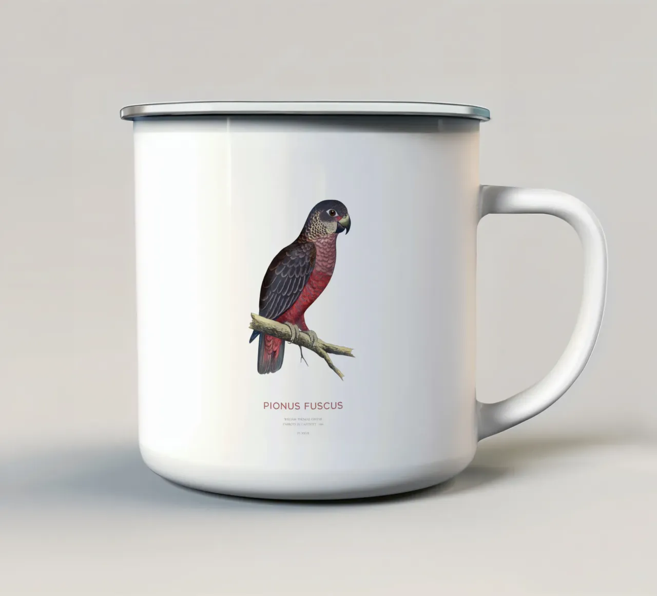 Pappagallo crepuscolare o Pionus fuscus tazza in smalto da Vintagrafica