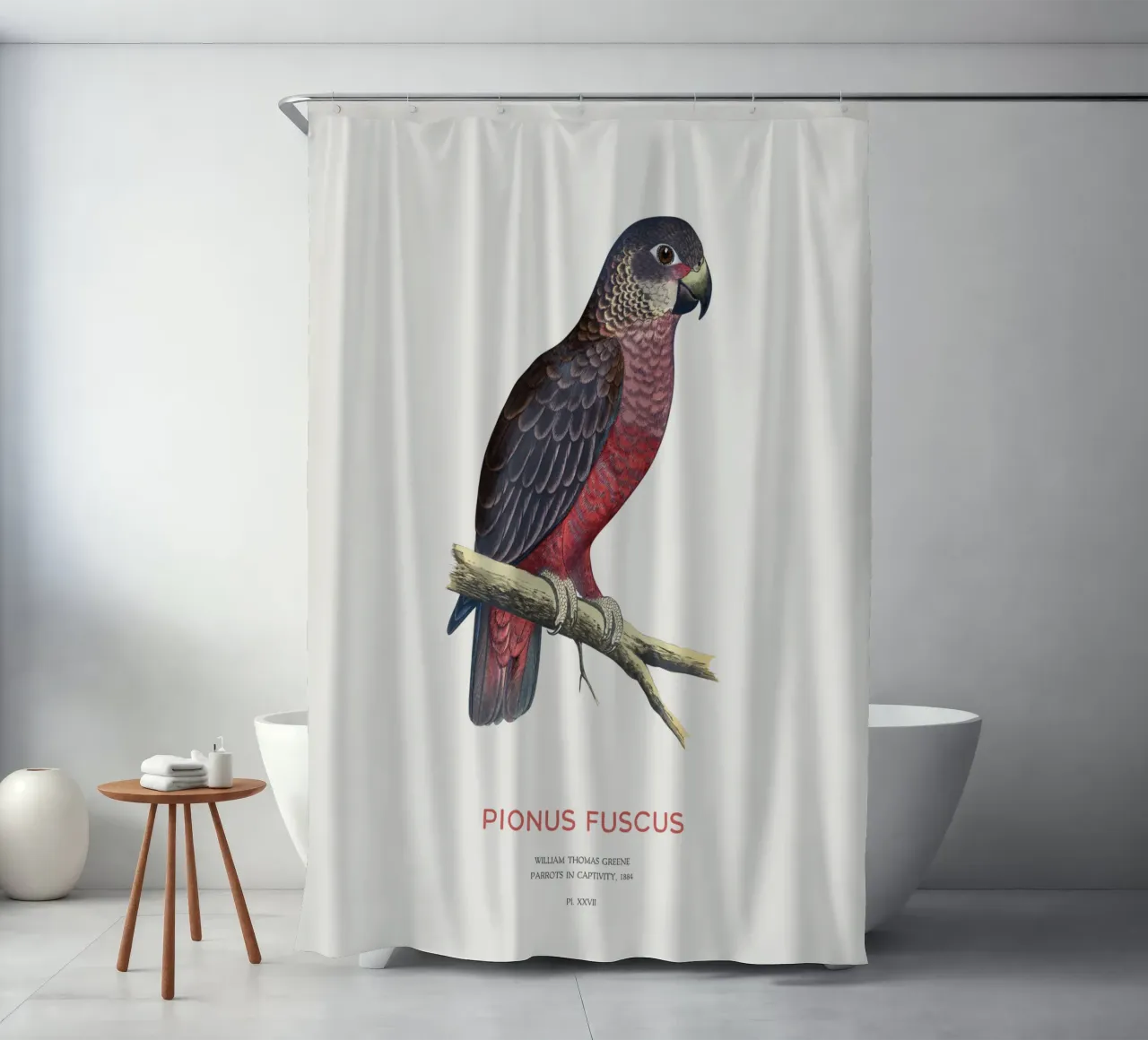 Pappagallo crepuscolare o Pionus fuscus tenda da doccia da Vintagrafica