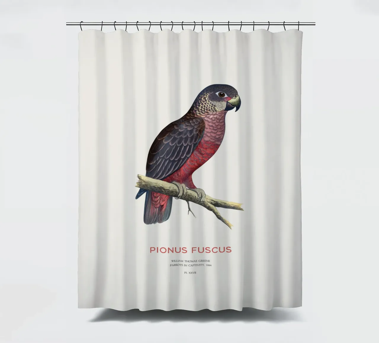 Pappagallo crepuscolare o Pionus fuscus tenda da doccia da Vintagrafica