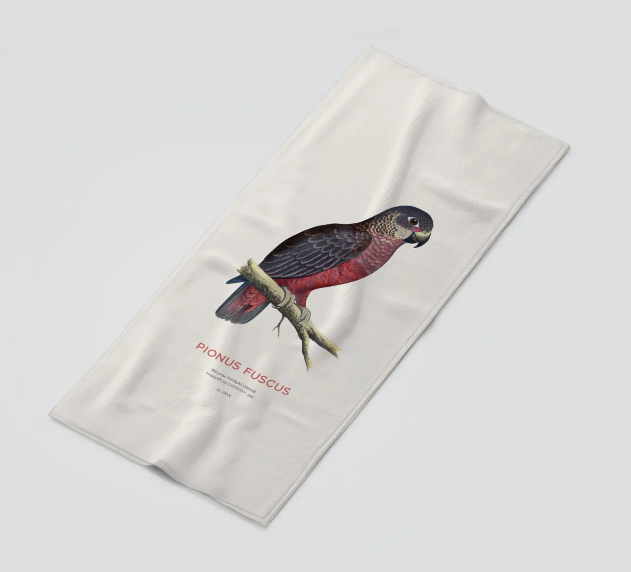Pappagallo crepuscolare o Pionus fuscus telo mare da Vintagrafica