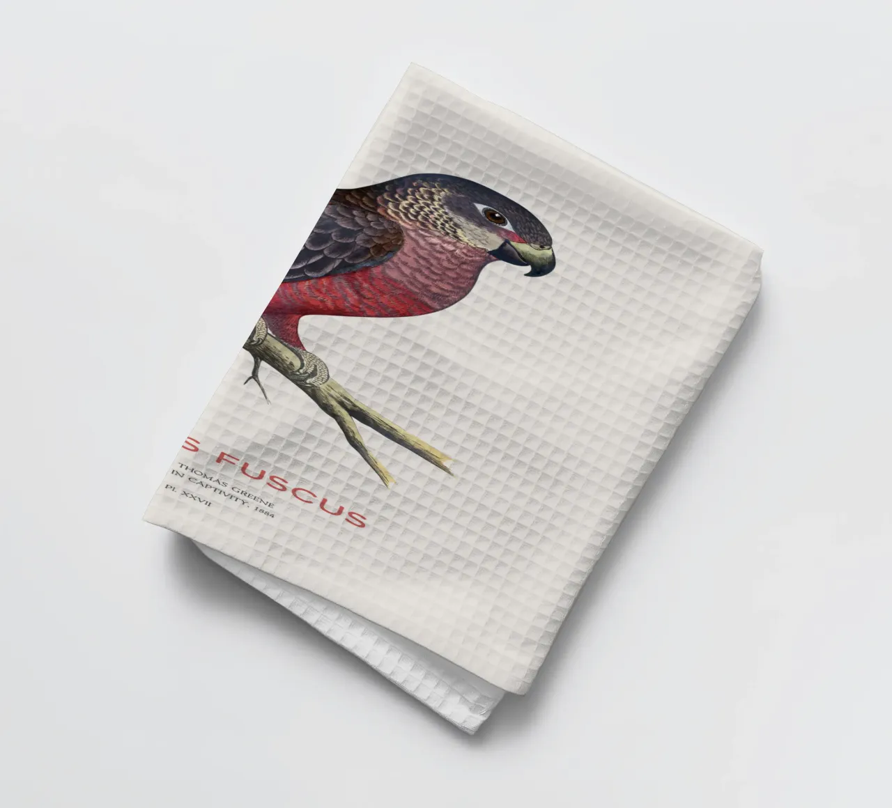 Pappagallo crepuscolare o Pionus fuscus canovaccio da cucina da Vintagrafica