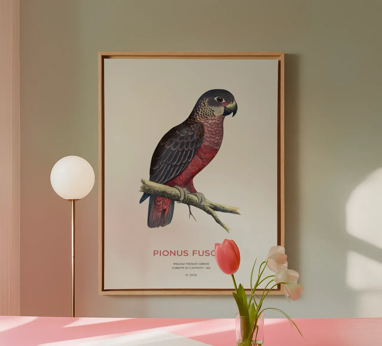 Pappagallo crepuscolare o Pionus fuscus tela da Vintagrafica