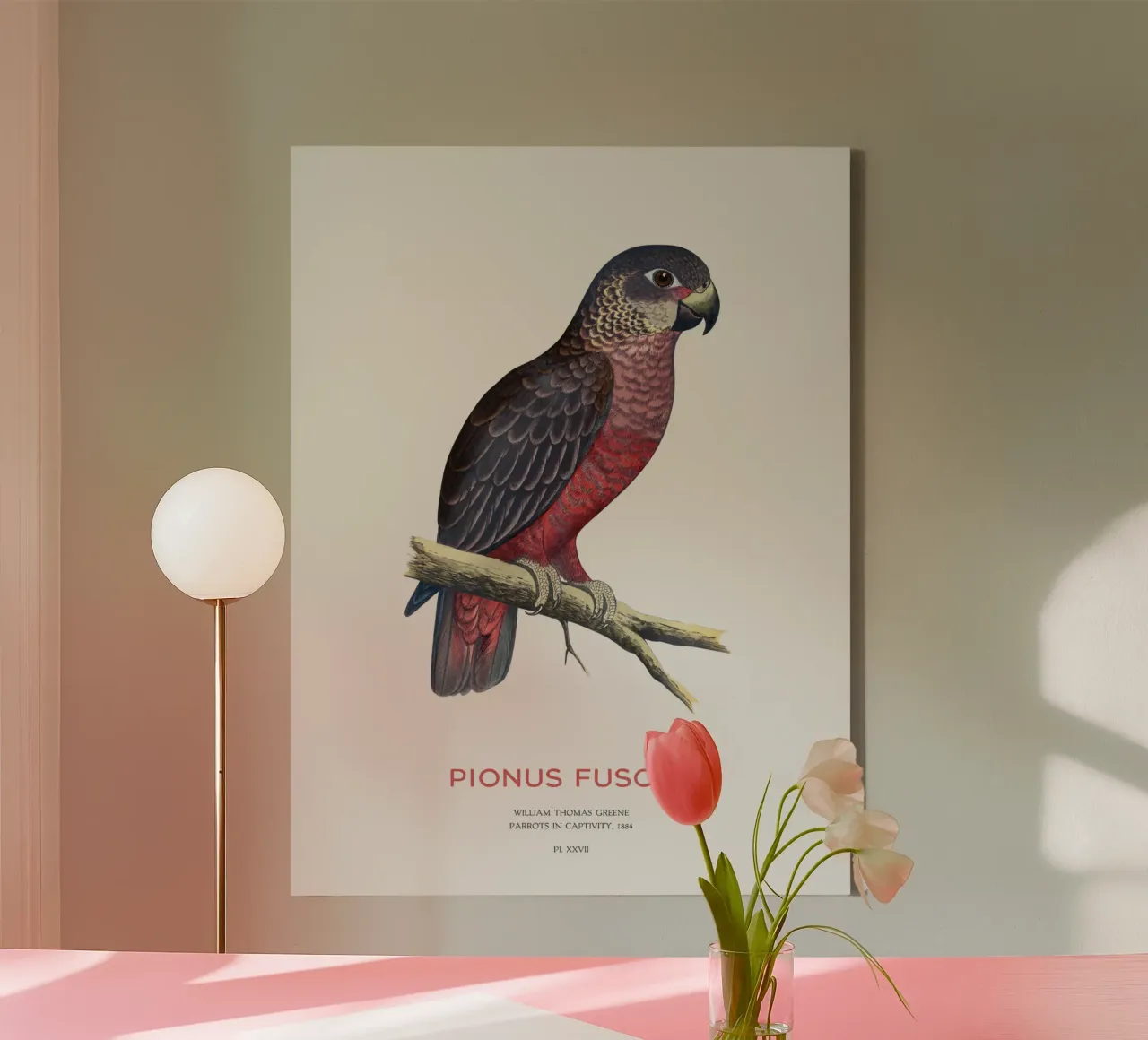 Pappagallo crepuscolare o Pionus fuscus tela da Vintagrafica