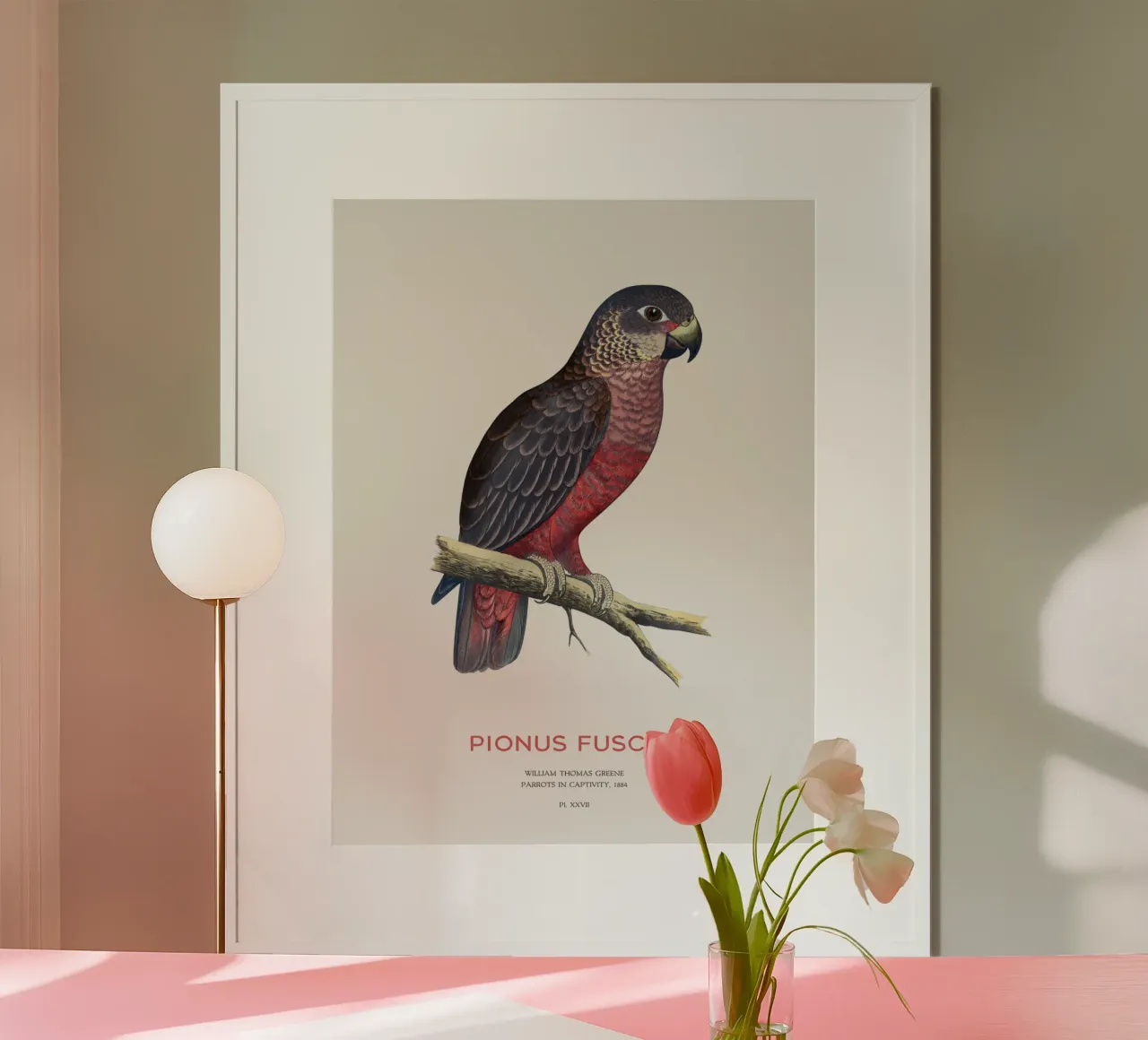 Pappagallo crepuscolare o Pionus fuscus poster con telaio in plastica da Vintagrafica