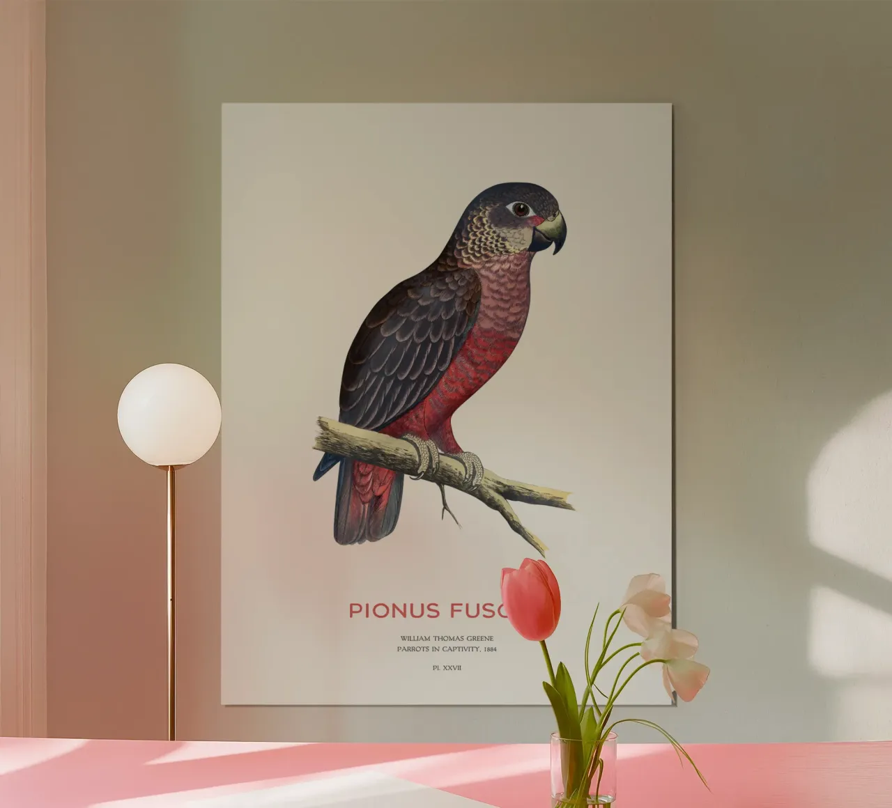 Pappagallo crepuscolare o Pionus fuscus poster con telaio in plastica da Vintagrafica