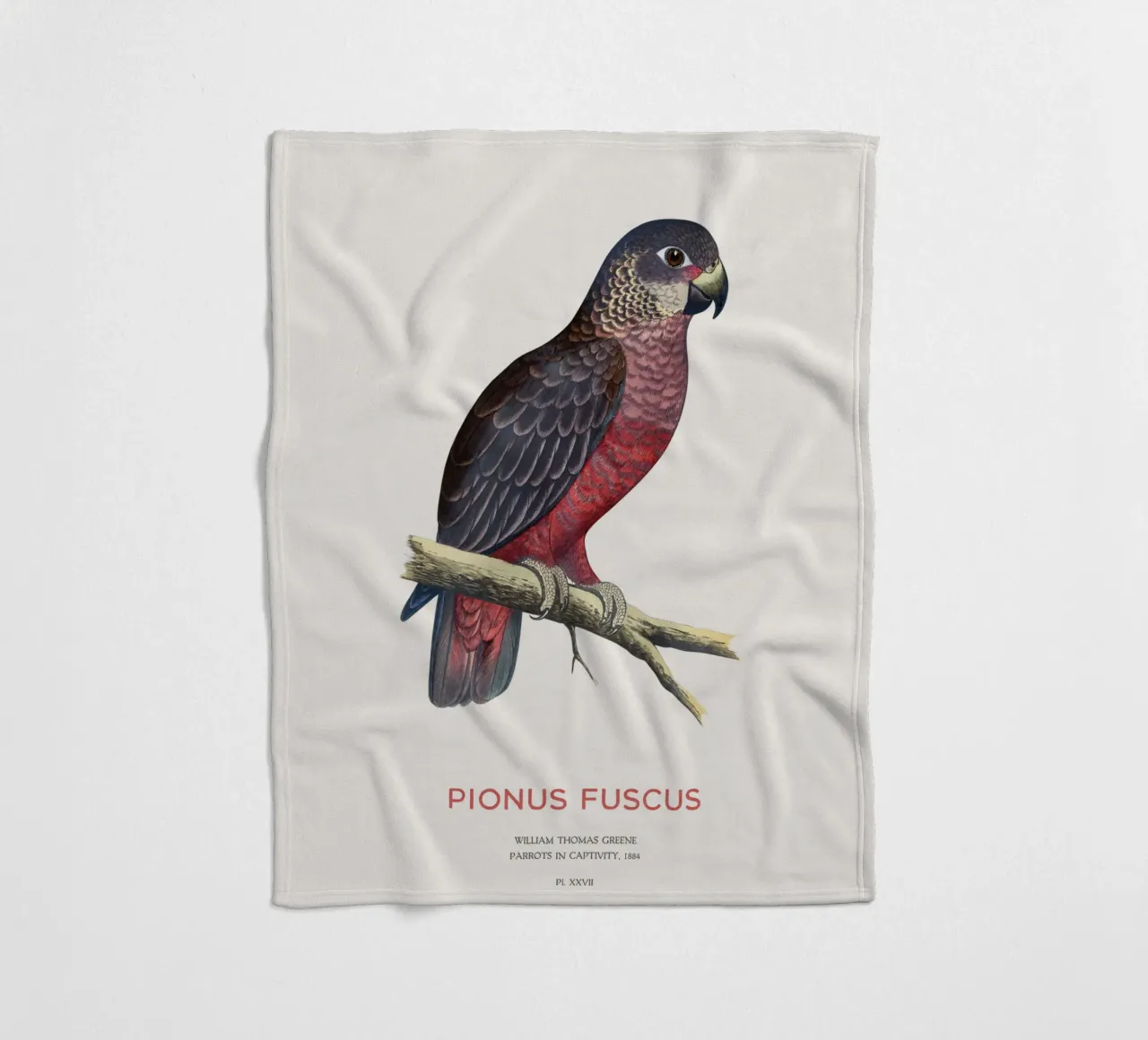 Pappagallo crepuscolare o Pionus fuscus coperta in pile da Vintagrafica