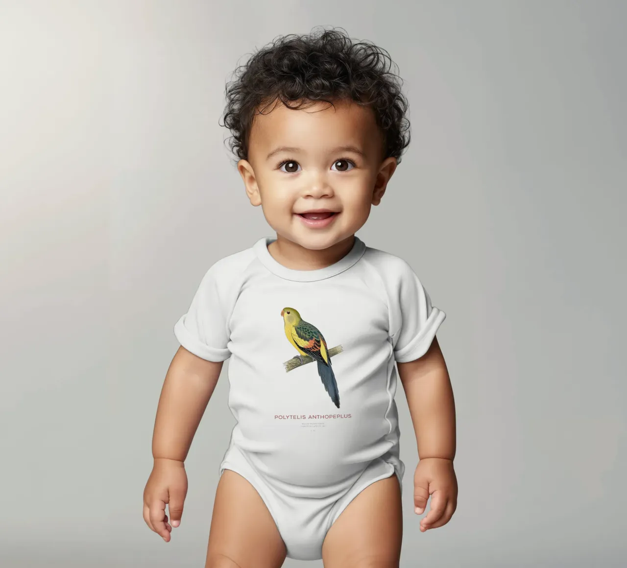 Königssittich oder Polytelis anthopeplus Kurzarm Babybody von Vintagrafica