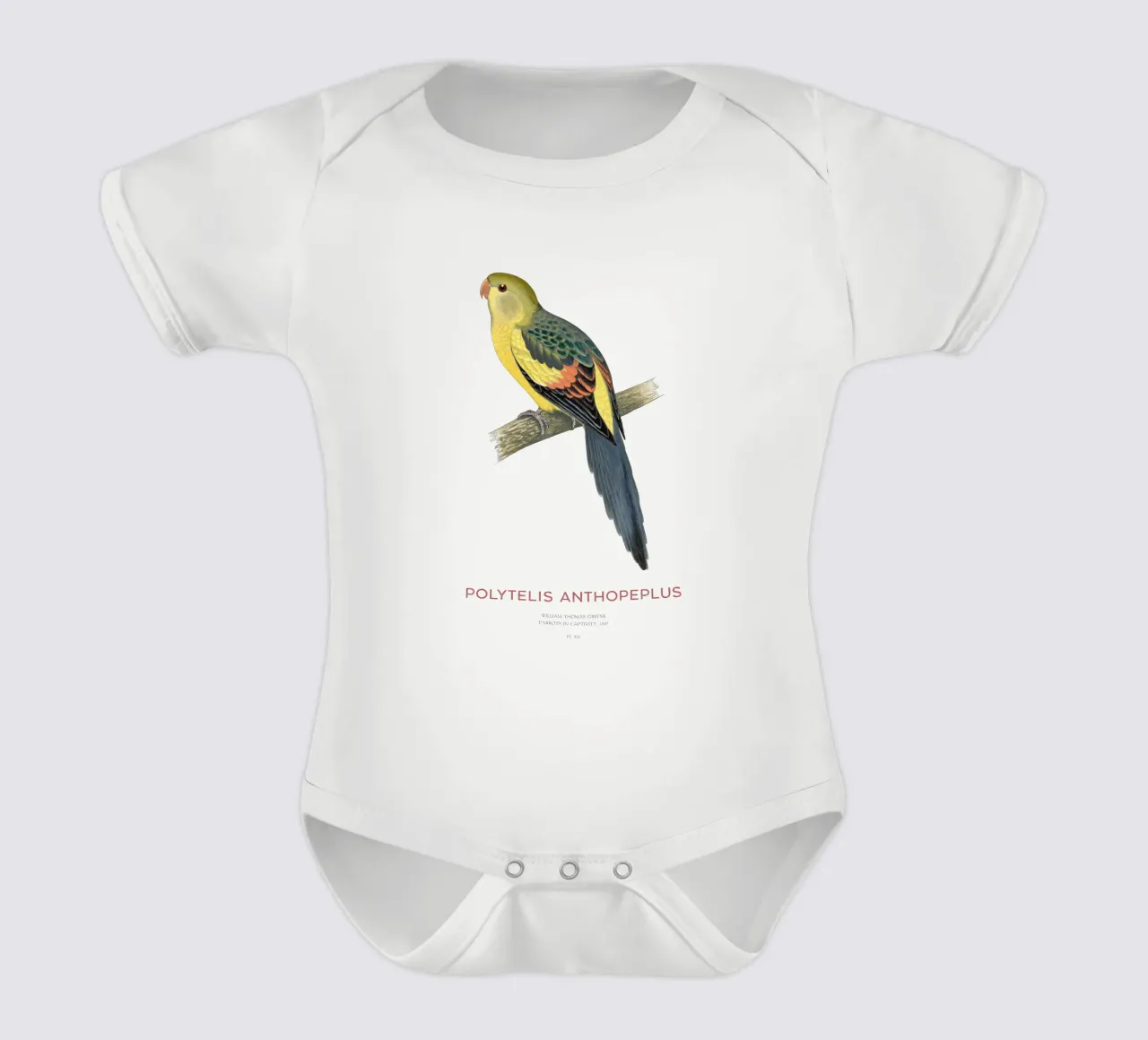 Königssittich oder Polytelis anthopeplus Kurzarm Babybody von Vintagrafica