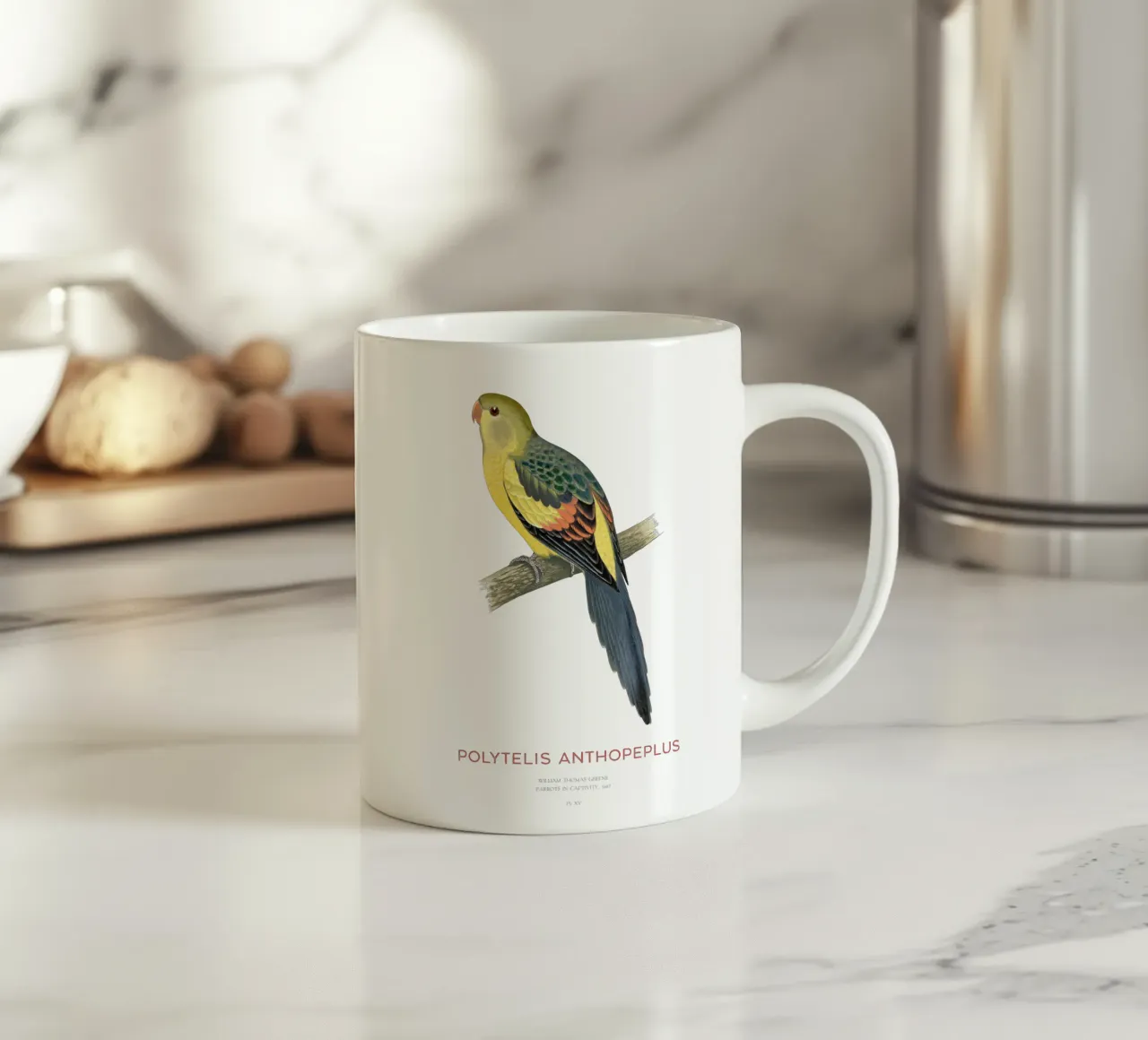 Pappagallo reggente o Polytelis anthopeplus tazza in ceramica da Vintagrafica