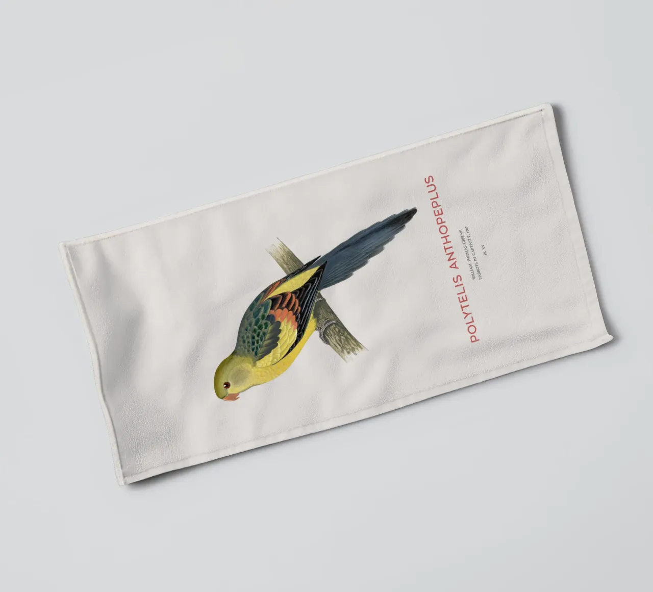 Königssittich oder Polytelis anthopeplus Handtuch von Vintagrafica