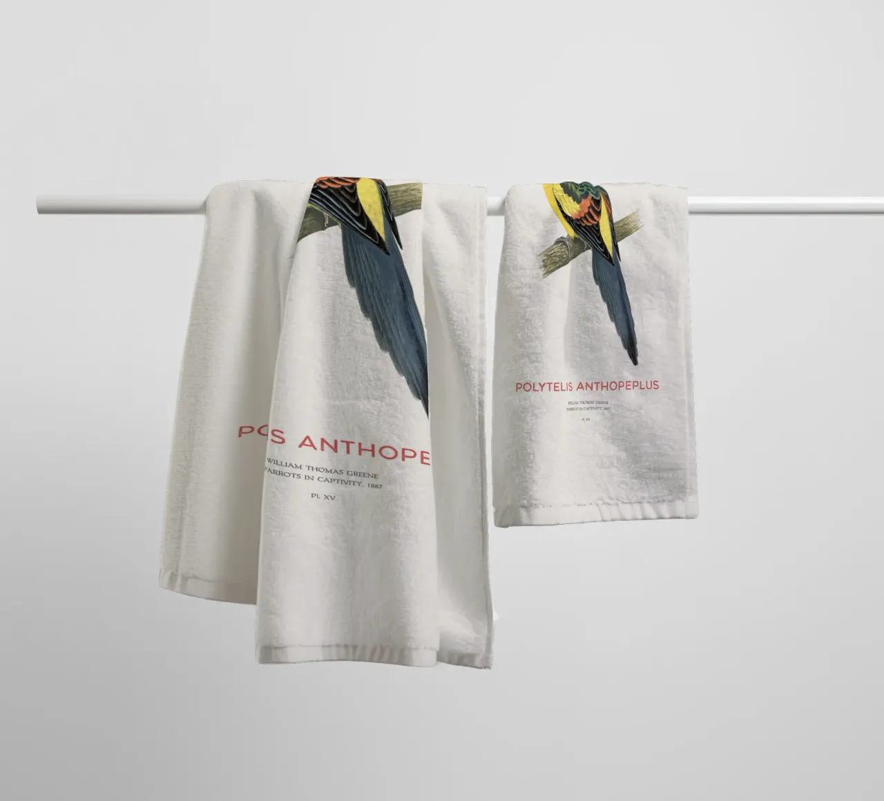 Königssittich oder Polytelis anthopeplus Handtuch von Vintagrafica