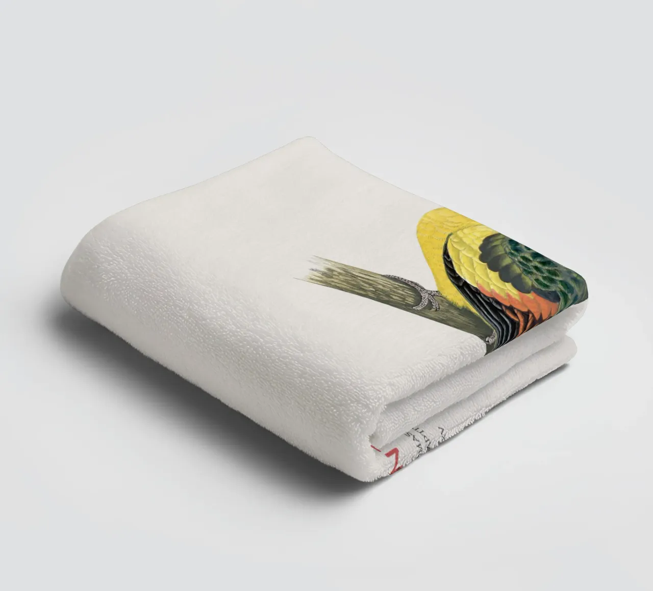 Königssittich oder Polytelis anthopeplus Handtuch von Vintagrafica