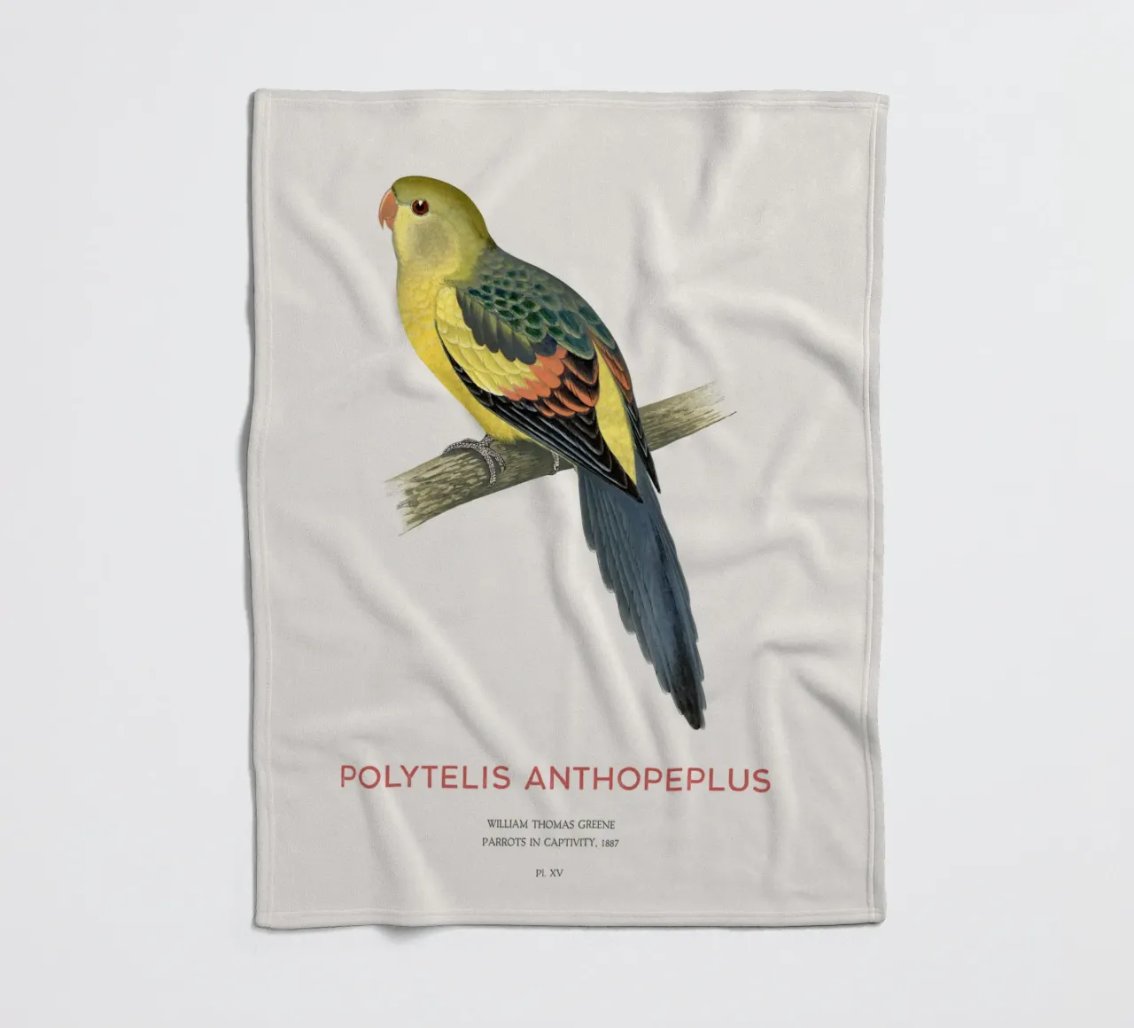 Pappagallo reggente o Polytelis anthopeplus coperta in pile da Vintagrafica
