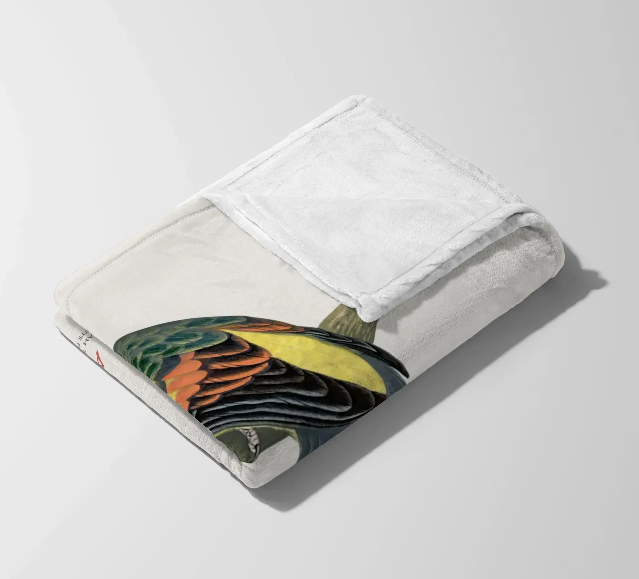 Pappagallo reggente o Polytelis anthopeplus coperta in pile da Vintagrafica