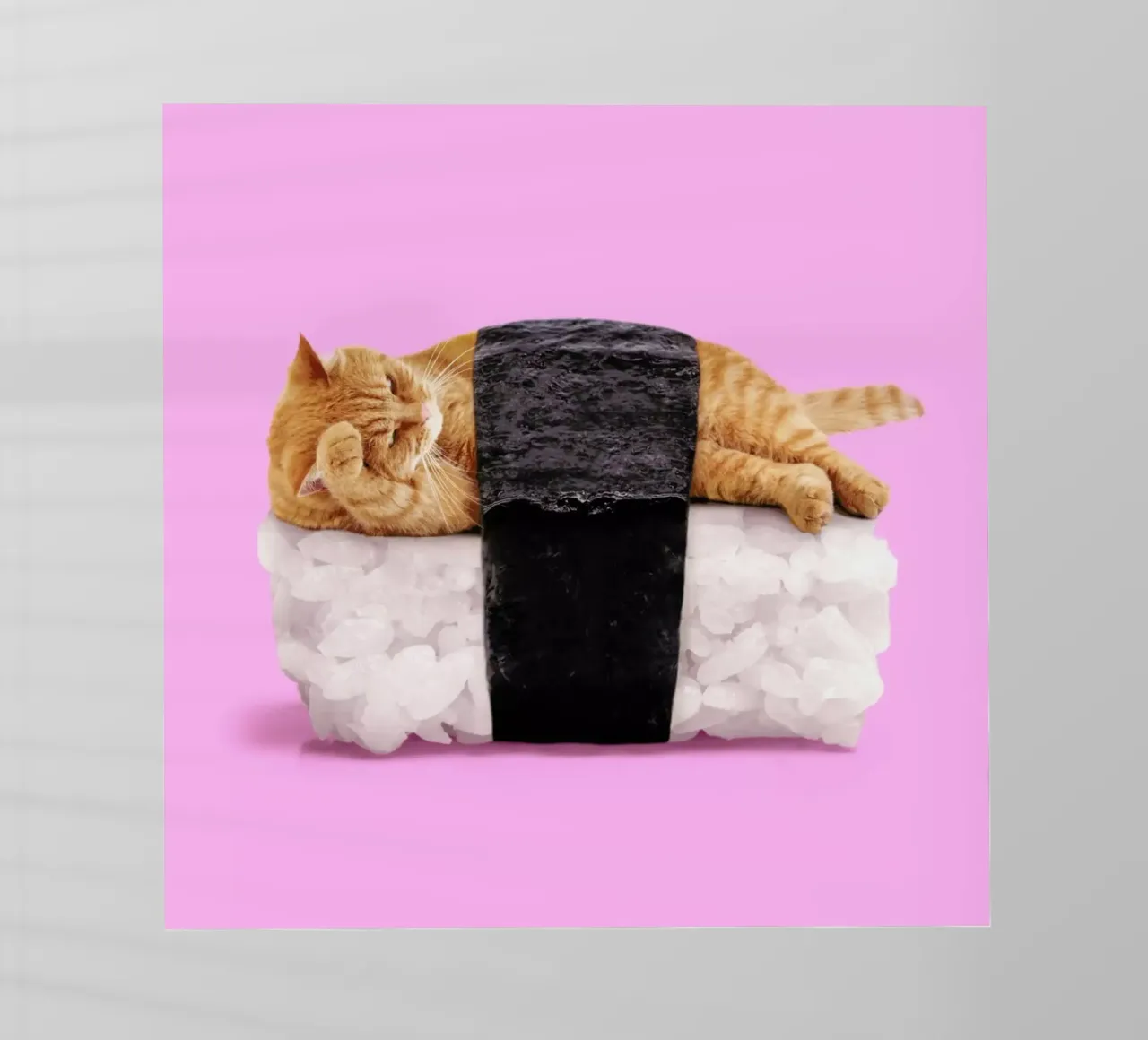 Sushi Cat pellicola backlit da Paul Fuentes Design