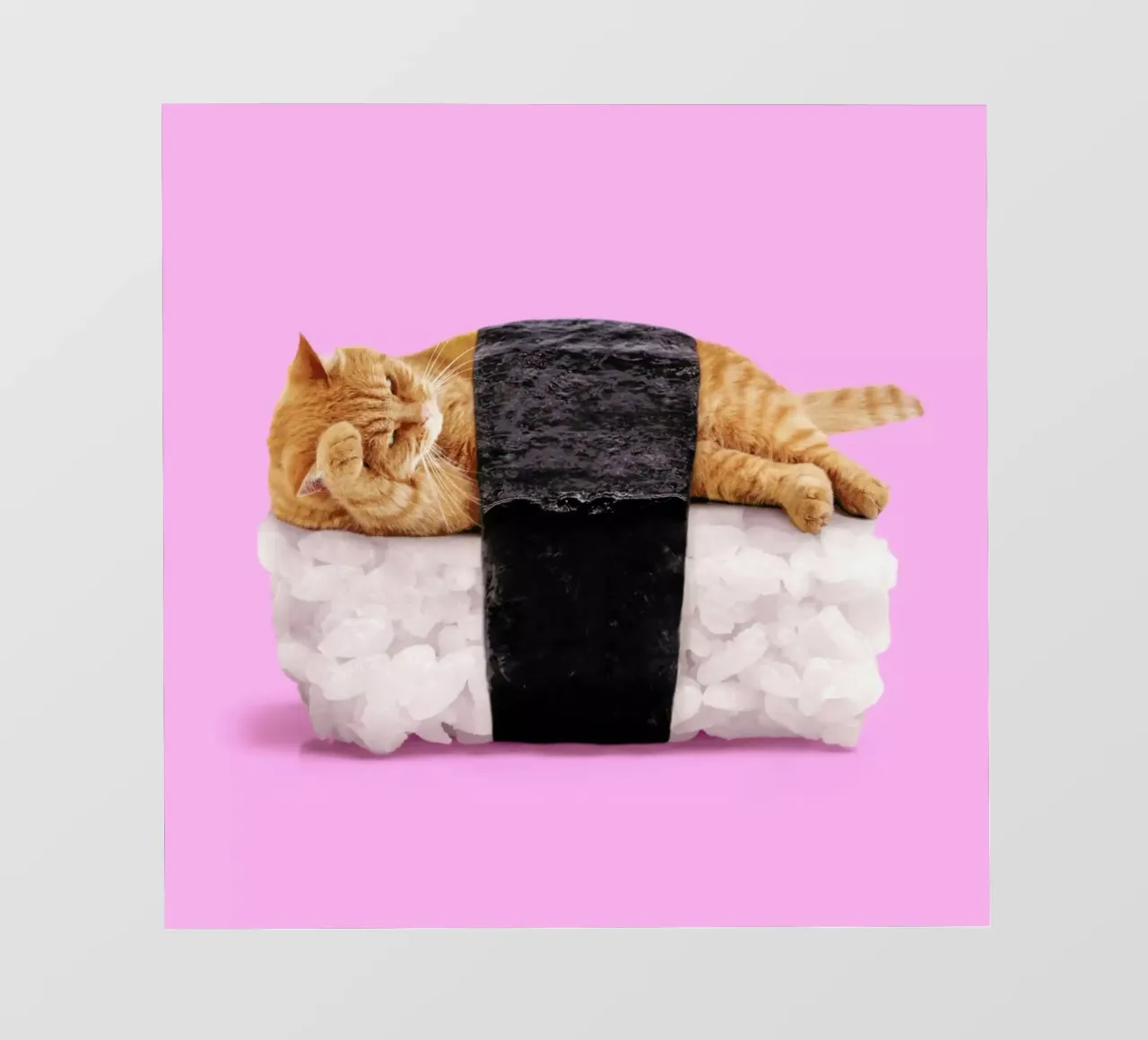 Sushi Cat pellicola backlit da Paul Fuentes Design