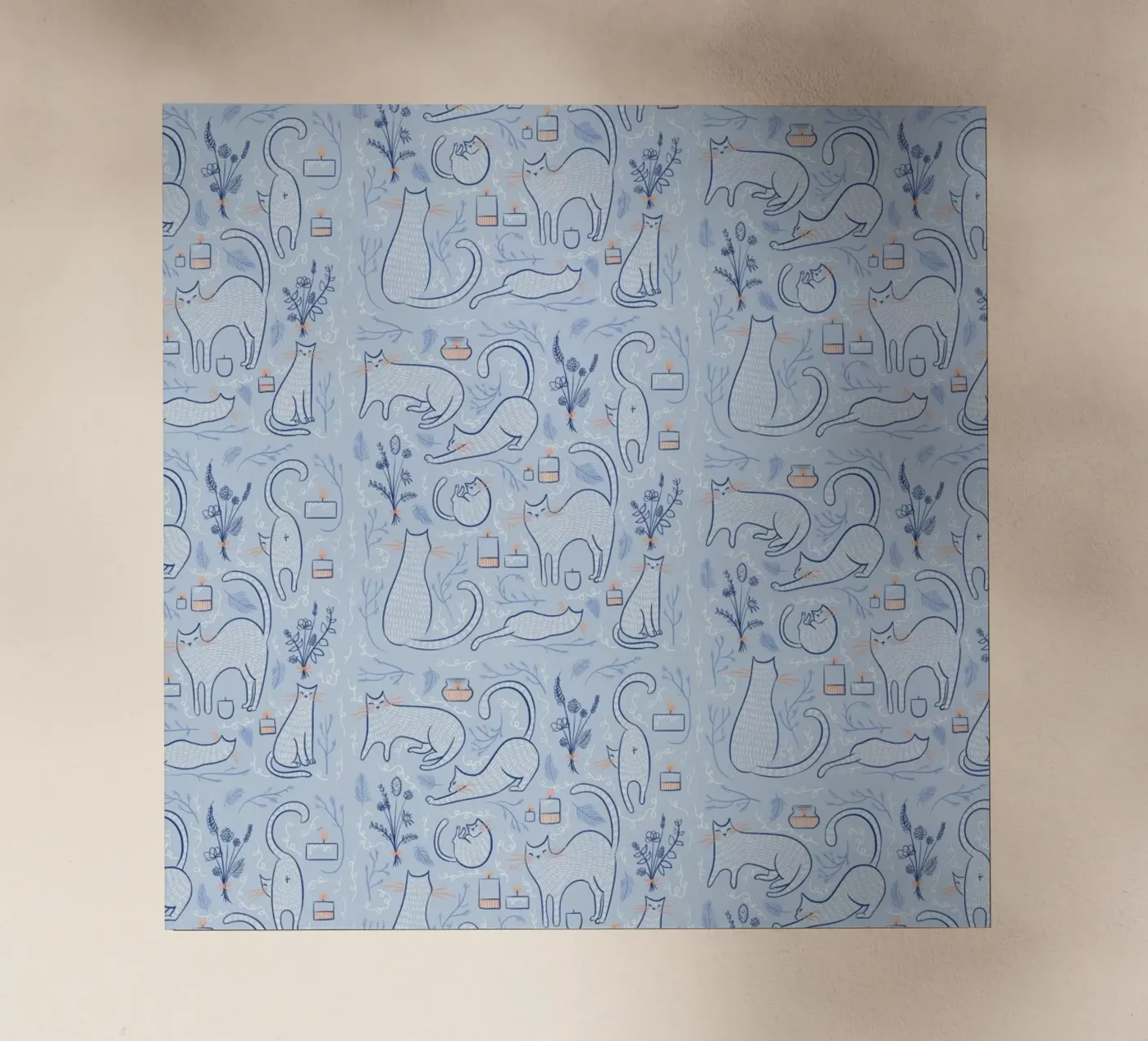 Feline pellicola backlit da Moira Scicluna Zahra