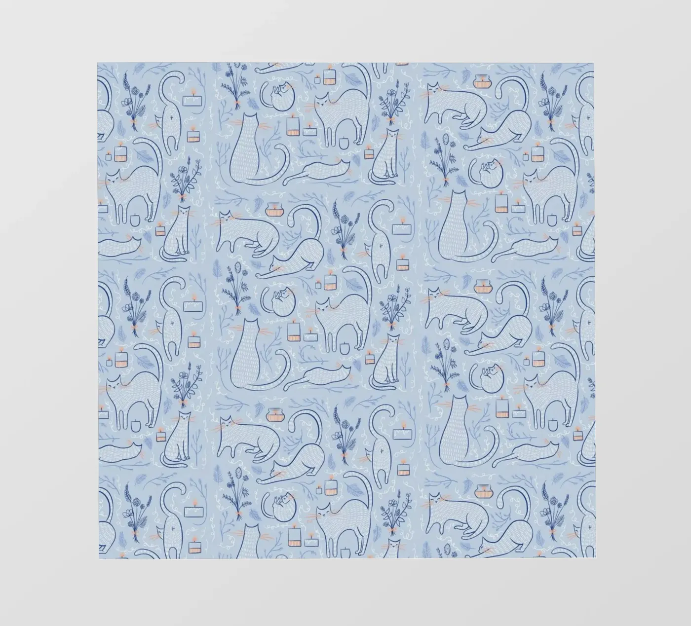 Feline pellicola backlit da Moira Scicluna Zahra